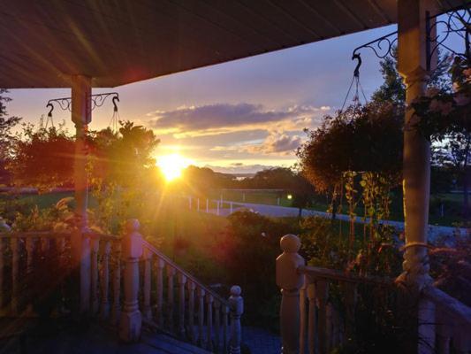 Twin Peaks B&B Mindemoya Extérieur photo